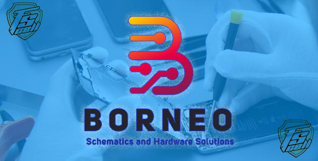 Borneo 2 User License 6 Months instant